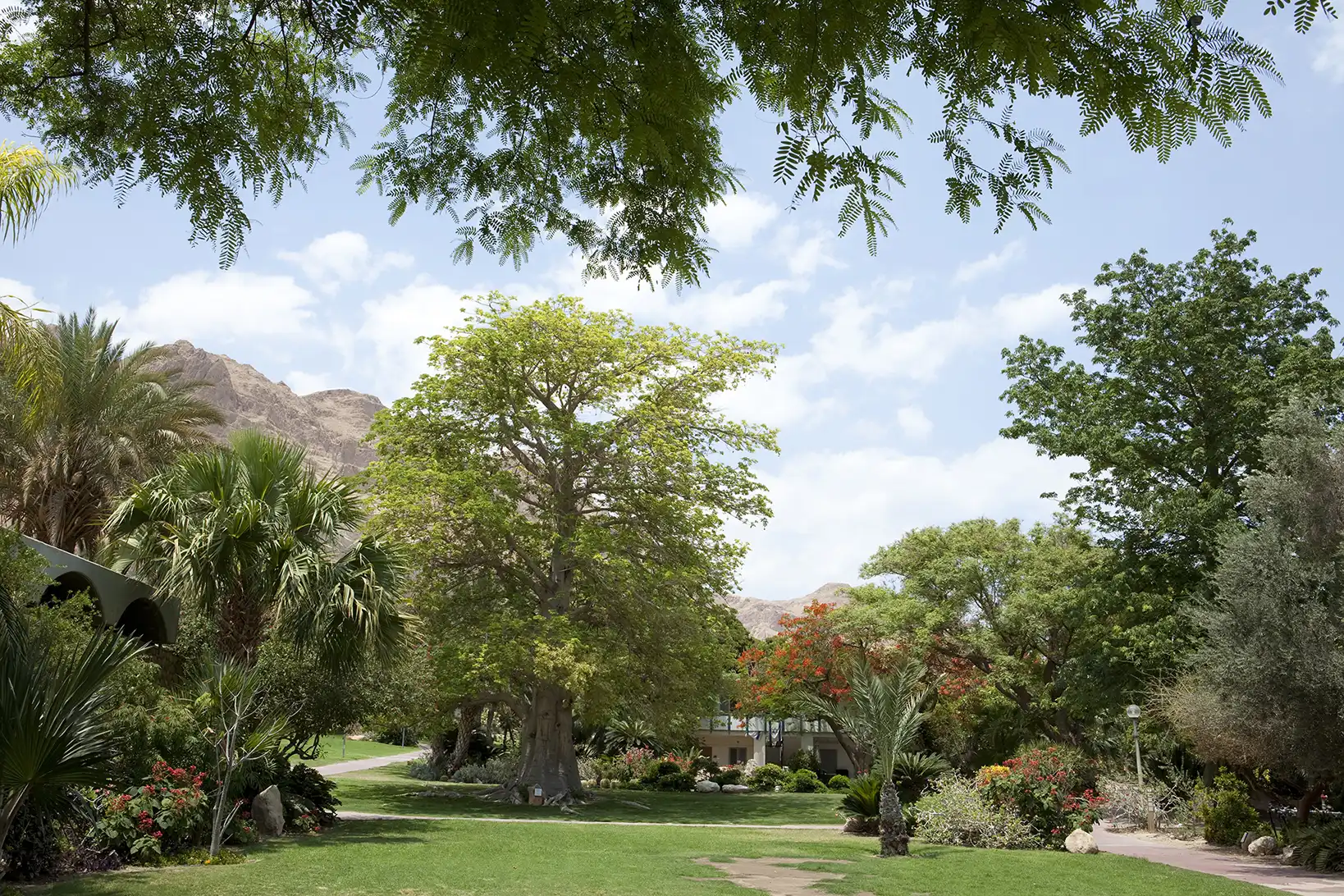 Dead Sea_Ein Gedi_ 0570_Itamar Grinberg_IMOT