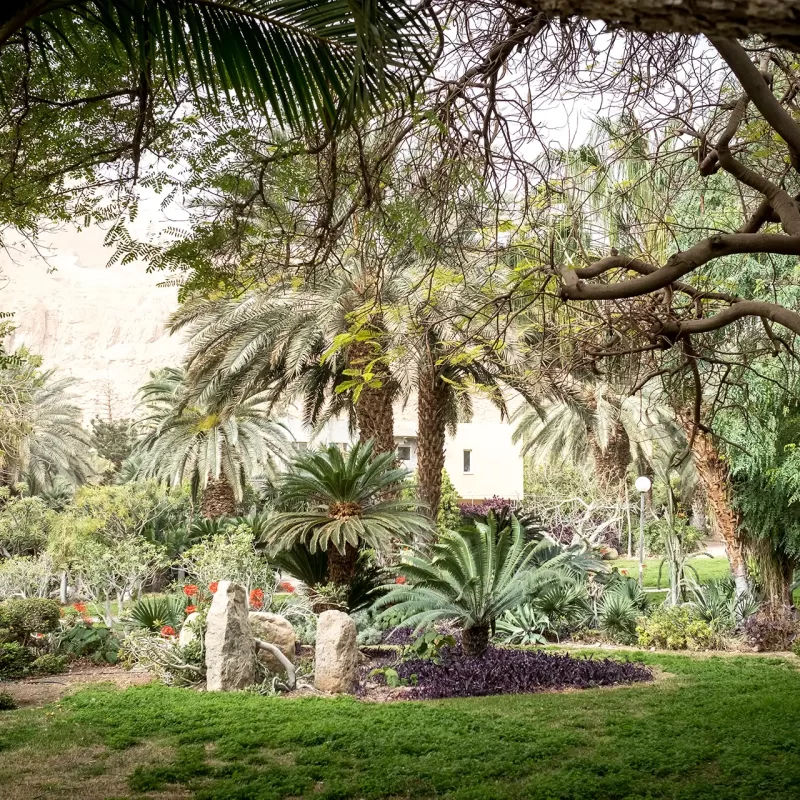 Ein Gedi Botanical Gardens