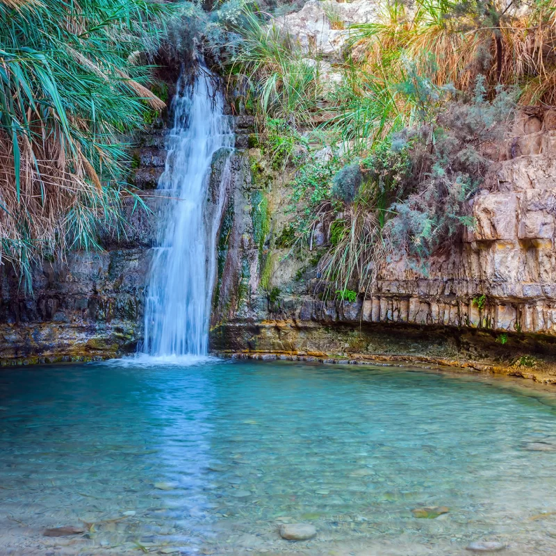 Ein Gedi Hi Res